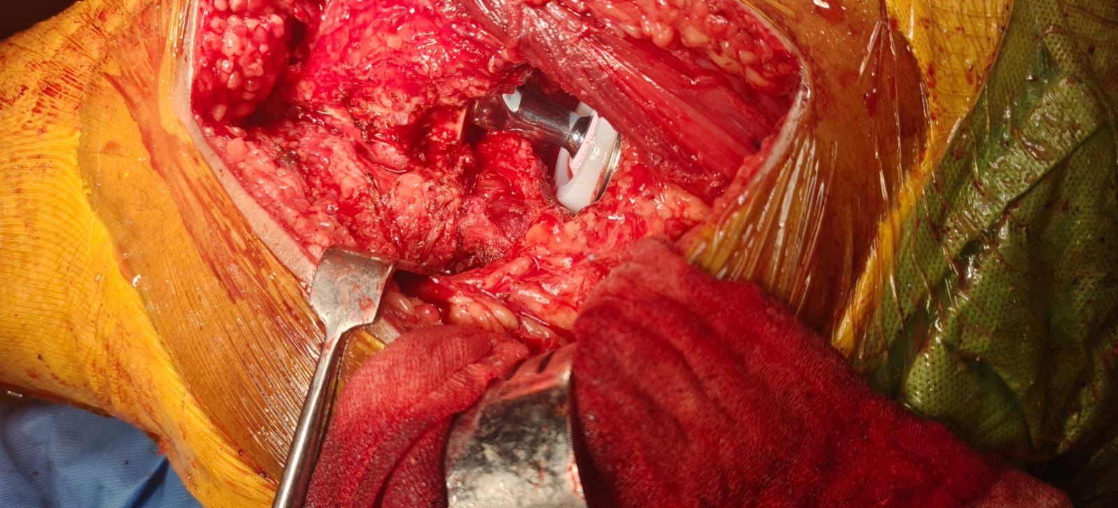 Dr. Jigar Sundesha professional photo